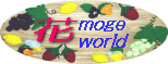 mogekoさんのところへ・・・